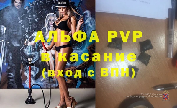 PSILOCYBIN Касимов