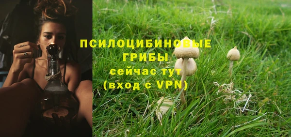 mdpv Каменка